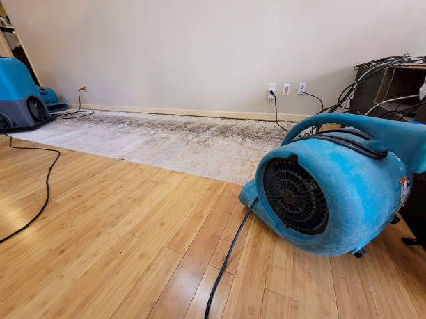Professional Basement Flood Cleanup technician working in Dundee, OH